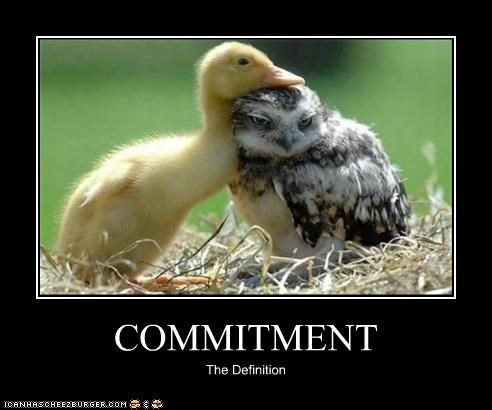 commitment