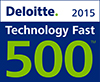 Deloitte 2015. Technology Fast