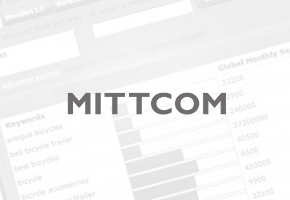 Success Story: Mittcom